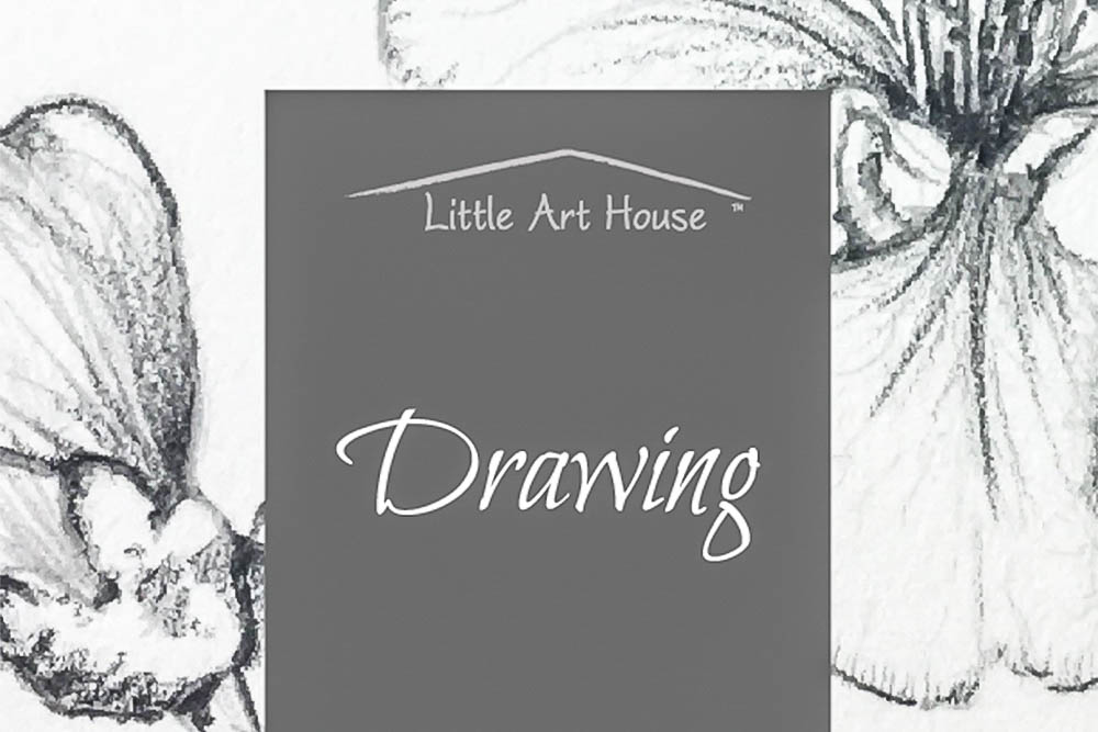 Botanical Art 101 [Class in Nashville] Little Art House CourseHorse